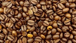 Kafein Beyni Nasıl Uyanık Tutar? Beyindeki Adenozin Mekanizması