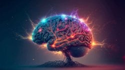 Zeka ve Yaratıcılık