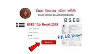 Bihar Board 12th Result 2025 will be Out on biharboardonline.com likely by March 28? - Times Bull