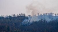 Burbank Fire: Brush Blaze Erupts Near Bethany Road, Trails Closed in Hills | Video