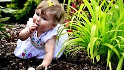 Pika Nedir? Bebekler Neden Çamur, Oyuncak ve Pislik Yerler?