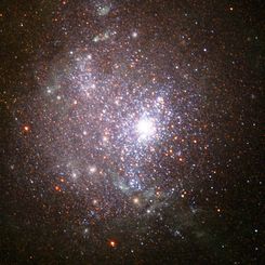 The Stars of NGC 1705