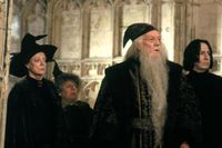 A New Dumbledore, Snape And Hagrid Announced As First Cast Details Revealed For HBO’s ‘Harry Potter’ Reboot