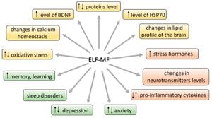 Study Shows ELF Magnetic Fields Do Not Impair Cognitive Function