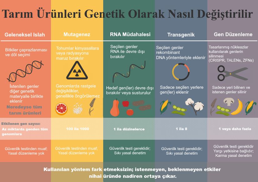 Görsel 1. Bitki Islahında Kullanılan Yöntemler (Kaynağından Türkçeleştirilmiştir)