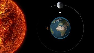 Gelgit Nedir? Suların Metrelerce Yükselip Metrelerce Çekilmesine Neden Olan Medcezir Nasıl Oluşur?
