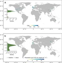 Nonlinear microbial thermal response and its implications for abrupt soil organic carbon responses to warming - Nature Communications
