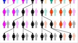 Evrimsel Bir Destan: Mitokondriyal Havva ve Y Kromozomu Ademi