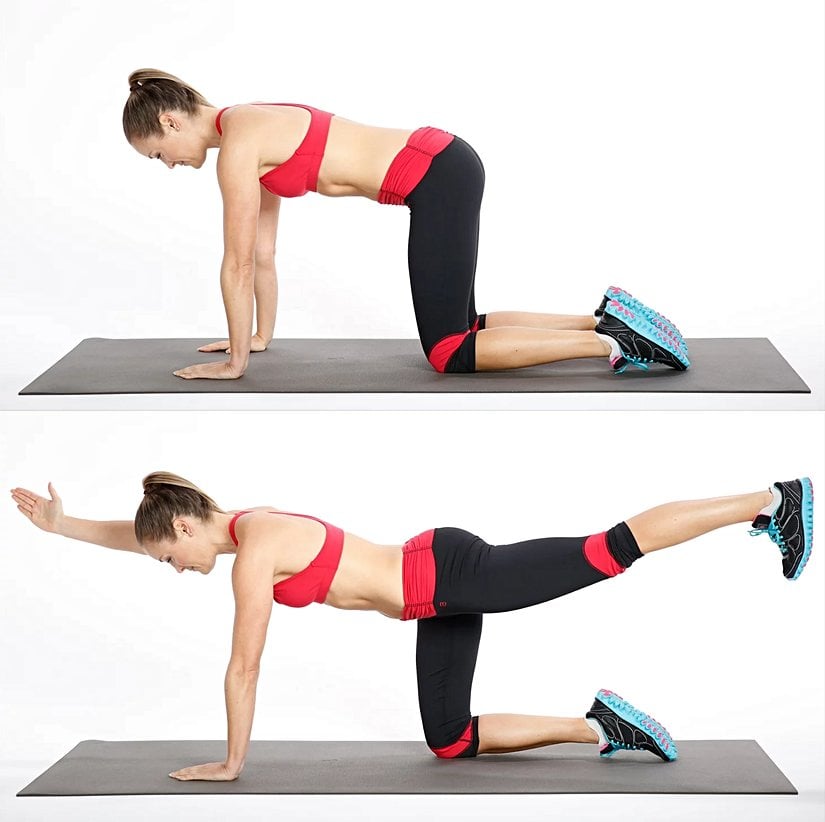 Bird Dog (Kuş-Köpek Hareketi)