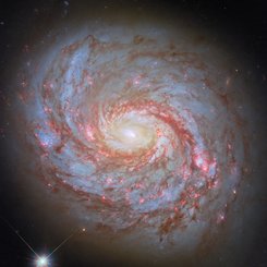 M77: Spiral Galaxy with an Active Center