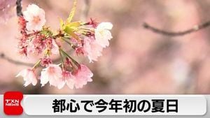 Tokyo Experiences First Summer Day As Cherry Blossoms Bloom