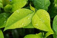 Radom - pogoda na weekend. Sobota, niedziela(10.05, 11.05). Długoterminowa prognoza pogody