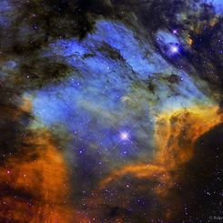  The Pelican Nebula in Gas, Dust, and Stars 