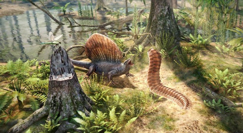 Dimetrodon ile tarih öncesi bir kırkayağın karşılaşması 3D görüntüleme ile