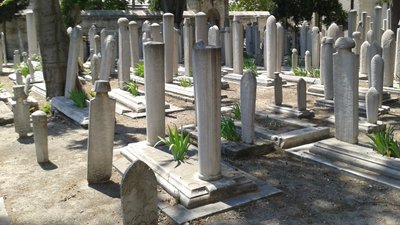 Kayıp, Yas ve Ölümün Psikolojik Etkileri Nelerdir?