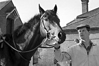 Ian Balding death: Former top trainer of Derby winner dies aged 87