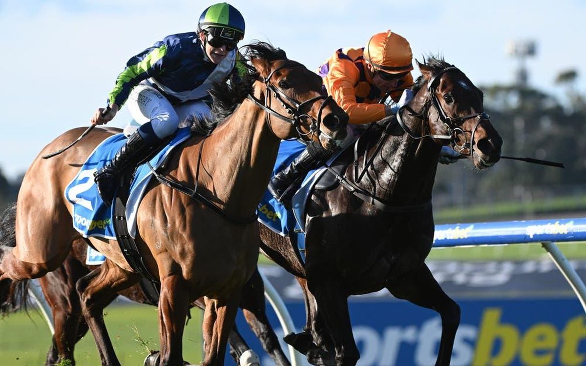 Betting Insights For Australian Horse Racing