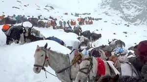 Avalanche On Nepal’s Yalung Ri Claims Seven Lives