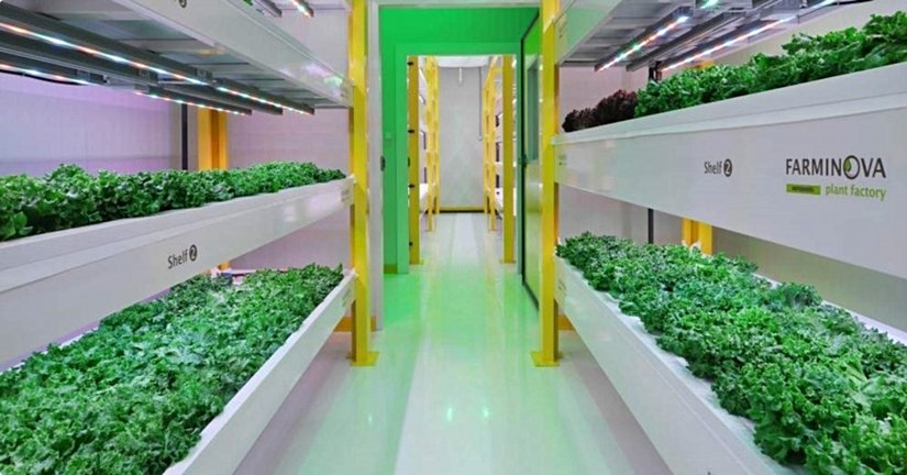 Plant Factory tesislerinden görüntü.