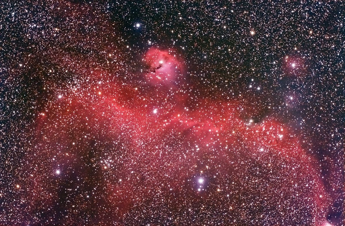 The Seagull Nebula