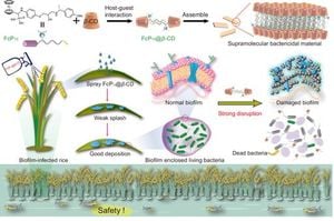 New Supramolecular Material Offers Hope Against Plant Bacterial Biofilms