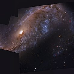 NGC 2442: Galaxy in Volans