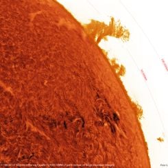  50,000 Kilometers over the Sun 