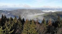 In Rheinland-Pfalz befinden sich zwei der beliebtesten Wälder Deutschlands