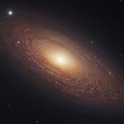  Massive Nearby Spiral Galaxy NGC 2841 