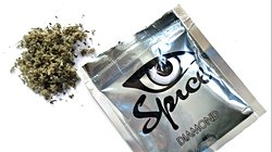 Bonzai Nedir? Sentetik Bir Kannabinoid Türevi Olan Bonzai, Ölümcül Uyuşturucularda Yeni Bir Boyut Yarattı!