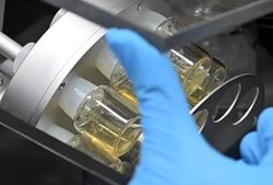 Yumurta, Sperm veya Rahim Olmadan: Sentetik Embriyo Modelleri Organ Nakli İçin Büyüyen Organlar Sağlayabilir