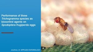 Impact Of Synthetic Pesticides On Trichogramma Chilonis Performance