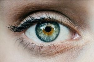 New Study Reveals Universal Roots Of Visual Illusions