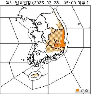 Severe Wildfires Erupt In Gyeongsangbuk-do Amid Dry Conditions