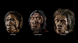 Alternatif İnsanlık Tarihi