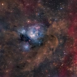 NGC 7129'un Genç Güneşleri
