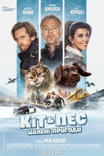 Kedi ve Köpek: Büyük Macera