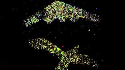 Kuantum Radarı Nedir? Kuantum Radar Teknolojisi Havacılıkta Nasıl Kullanılır?