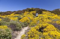 Pasqua all’Isola d’Elba: trekking tra natura, storia e profumi mediterranei