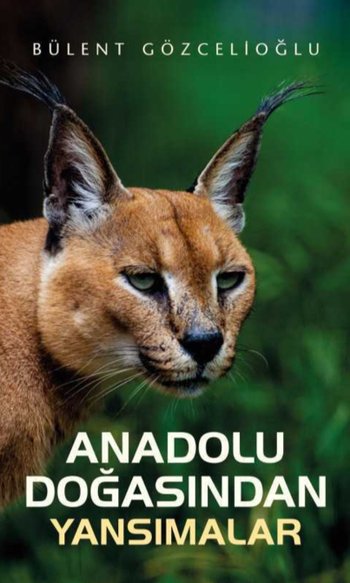 Anadolu Doğasından Yansımalar