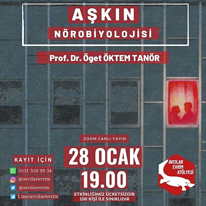 Aşkın Nörobiyolojisi - Prof. Dr. Öget ÖKTEM TANÖR - Avcılar Evrim Atölyesi - 28 Ocak 19.00 - Zoom