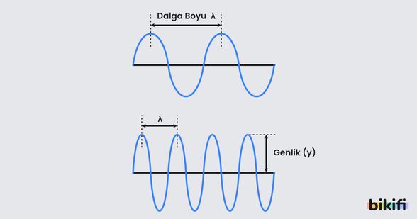 Dalgaboyu