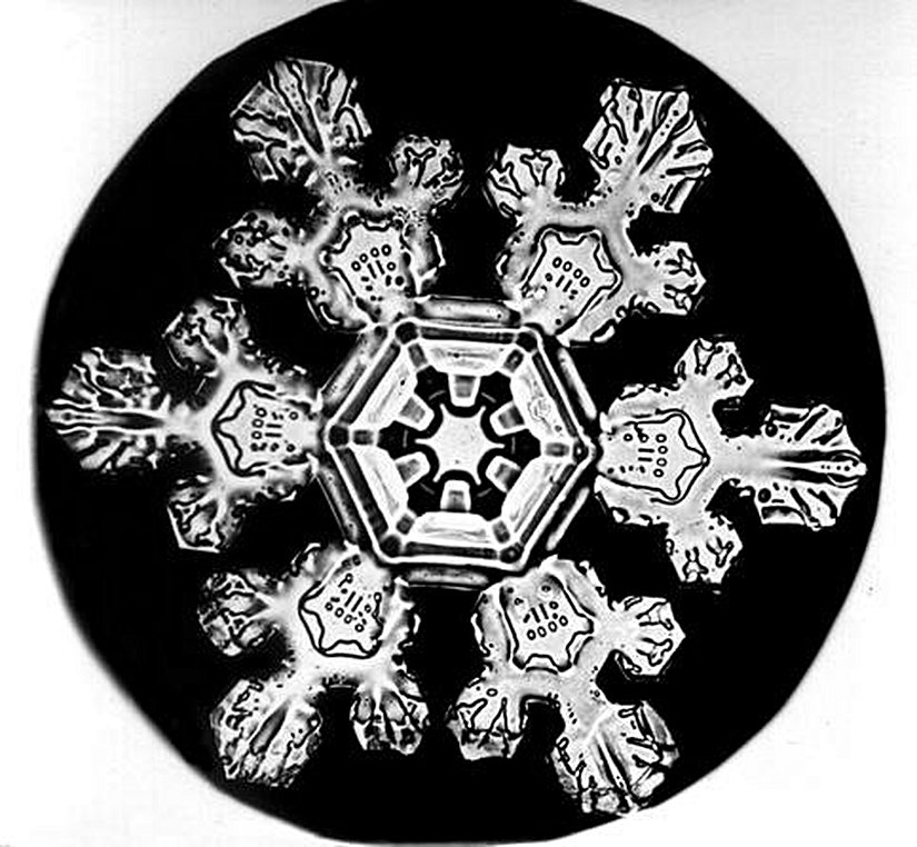 Eğer yeni bir teori doğruysa, canlıların kökeninden sorumlu olduğu belirlenen fiziğin aynısının doğadaki çok sayıdaki yapının oluşumunu da açıklayabilmesi olasıdır. Kar taneleri, kum tepeleri ve kendi kendini yenileyen girdaplar gibi durumların hepsi yayılımla yönetilen uyumlanmaya birer örnektirler.