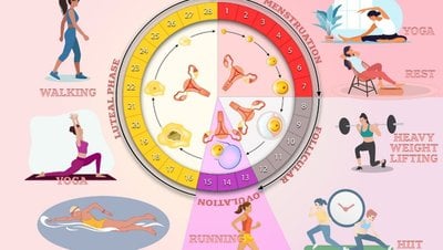 Menstrüel Döngü Spor Performansını Ne Kadar Etkiler?