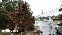 Windows blown in, trees uprooted and croc warnings - Hurricane Melissa batters Jamaica