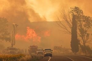 Wildfires Ground Flights And Trigger Evacuations In Izmir