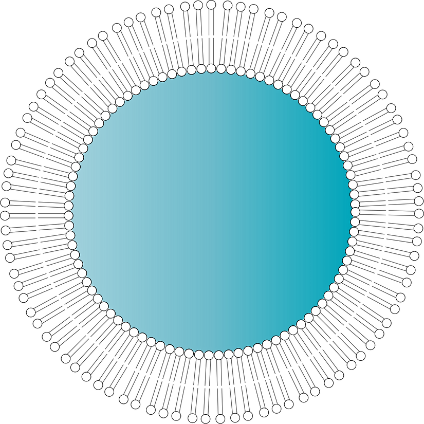 Çift katlı fosfolipit tabakasıyla çevrili misel küreciği