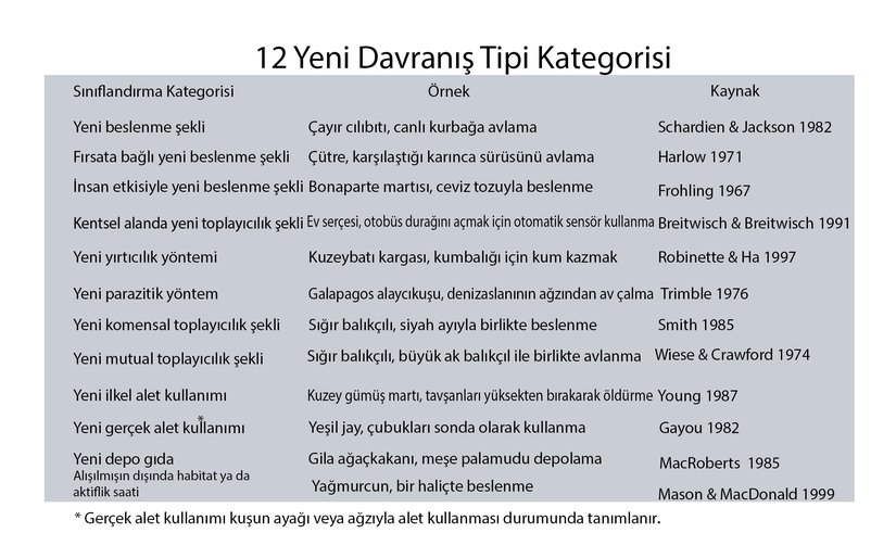 Bilim insanlarının yeni davranışları sınıflandırdığı 12 kategori ve örnekleri