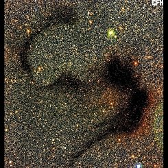 The Snake Nebula from CFHT