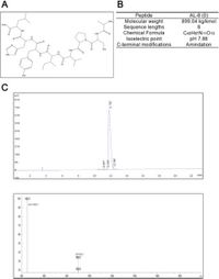 Innovative peptide therapeutics targeting IL17RA to regulate inflammatory responses - Scientific Reports